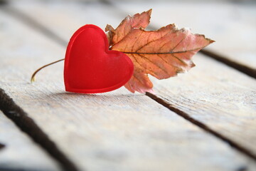 Its autumn time concept. Autumn background.
