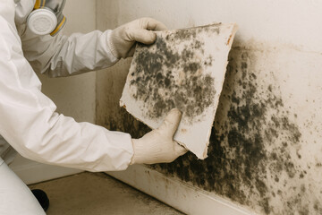 Mold Removal Inspection: A person in protective gear inspecting for dangerous mold on a wall, a visual representation of a hazardous home issue that demands professional remediation.