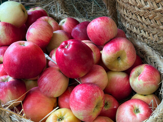 Fresh red ripe apples fruits.