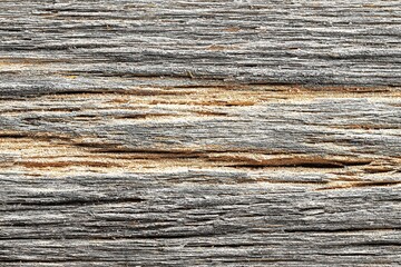 Fototapeta premium Textured grey wood surface showing natural grains, patterns, and roughness of aged timber in a well-lit setting