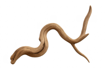 Twisted driftwood branch creating abstract organic shape