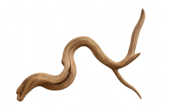 Twisted driftwood branch creating abstract organic shape