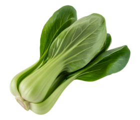 Fresh bok choy isolated with crisp green leaves, Organic pak choi vegetable used for Asian dishes