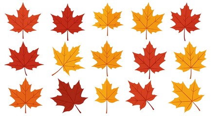 Fototapeta premium Capture the beauty of autumn with these vibrant maple leaf designs perfect for seasonal projects, Thanksgiving promotions, and fall-themed creative ventures