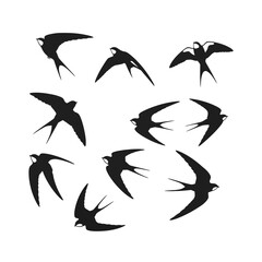 Graceful swallows flying in various dynamic poses and elegant formations.