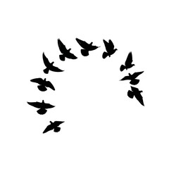 Silhouette of a flock of birds flying in an arc formation.
