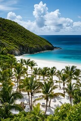 Tropical Beach with White Sand and Palm Trees island