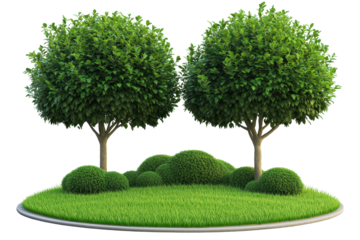 Lush green round trees with full foliage standing on a vibrant green grassy area in a serene outdoor space under clear skies