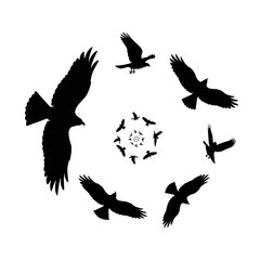 Silhouette of birds flying in a circular pattern.