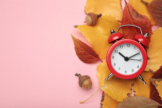 Red alarm clock, acorns and autumn leaves on pink background. Daylight saving time end