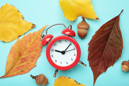 Red alarm clock, acorns and autumn leaves on blue background. Daylight saving time end