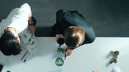Top down view of business woman looking at clean energy document. Aerial view manager standing at...