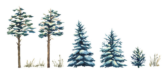 Hand-painted watercolor illustration of snowy pine trees, frosty branches and natural winter landscape, rustic seasonal clipart perfect for holiday greeting cards and decorative projects and patterns.