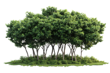 Green tree cluster surrounded by vibrant plants in a beautiful garden setting during daylight hours