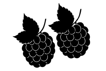 Sweet and fresh blackberry and raspberry illustration on a green leaf pattern for summer fruit design