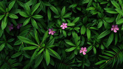 A lush green ground cover featu vibrant leaves and delicate pink flowers creates a calming and natural background, ideal for botanical themes and designs.