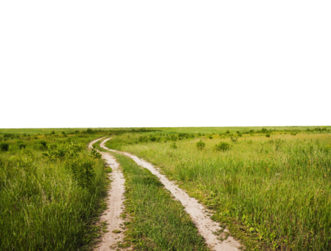 Serene Path Through Lush Green Fields