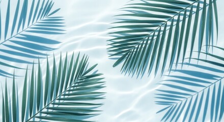 Fototapeta premium Palm fronds reflected on rippling blue water surface