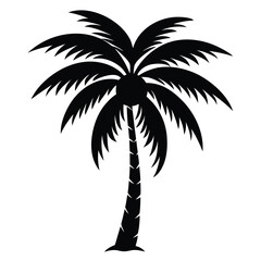 Obraz premium Black palm tree with coconuts silhouette tropical