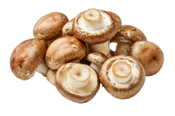 Fresh brown champignon mushrooms close-up for culinary and food design