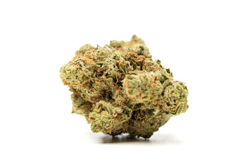 Marijuana flower isolated on white background