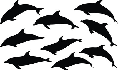 Dolphin Silhouettes in Black on White Background Marine Mammal Theme