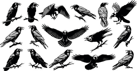 Raven silhouette icon set with flying, perching, and standing poses, black vector design for nature, folklore, and gothic themes
