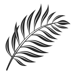 Obraz premium Black silhouette of a tropical palm frond tropical leaf