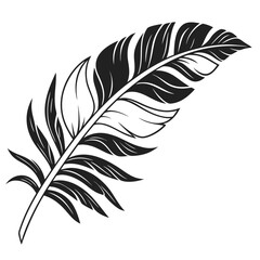 Obraz premium Black silhouette of a tropical palm leaf tropical leaf