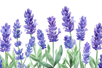 Obraz premium Beautiful seamless border of tender watercolor lavender flowers with soft purple hues and delicate green leaves creating a serene and calming atmosphere for any design project