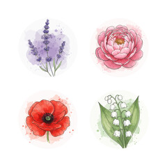 Watercolor floral illustrations collection featuring lavender, peony, poppy, and lily of the valley blooms, perfect for spring and summer botanical design elements