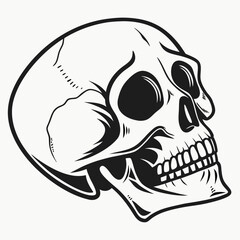 Black skull silhouette vector hollow eyes