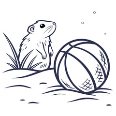 Hamster looking at a basketball in the snow rodent