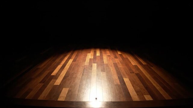 Dark room interior with hardwood floor in perspective view