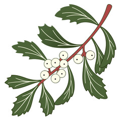 Flat vector mistletoe branch with white berries icon