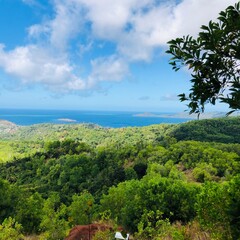 Faune et flore de l'&icirc;le de Mayotte