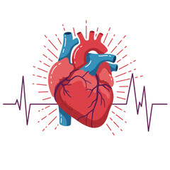 Vibrant heart illustration with heartbeat line art, symbolizing health and vitality for medical designs, educational material or healthcare campaigns