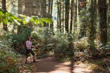 Resting on the trail under the sun's rays