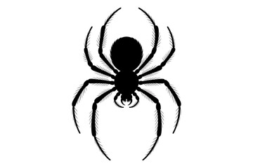 Black silhouette of a spider with long legs centered on a white background.