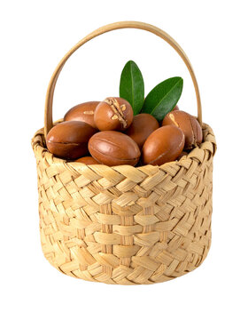 Argan Nuts Basket Morocco Berbery Argania Spinosa Fruit