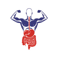 Strong body with healthy digestive system illustration for wellness campaigns, nutrition infographics, and fitness promotions focused on gut health
