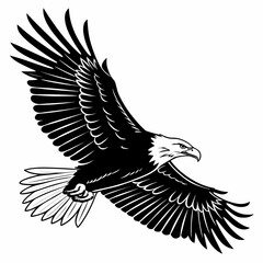 Obraz premium Black eagle with spread wings in flight white background