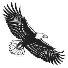 Black eagle with spread wings in flight bird flying