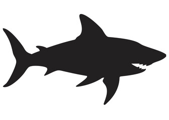 Obraz premium silhouette of a shark