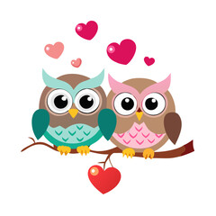 Fototapeta premium owls on a branch