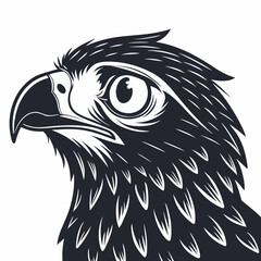 Black eagle head profile with large eye white background 1