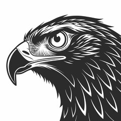Fototapeta premium Black eagle head profile with large eye white background