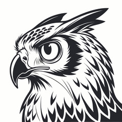 Black owl head profile with large eyes on white bird