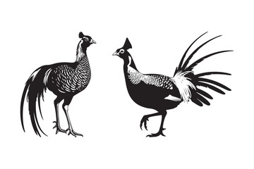 Two elegant pheasants in a stylized black and white illustration