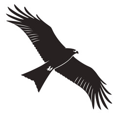 Black kite bird silhouette in flight white background